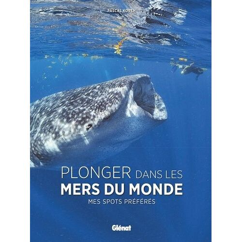 Plonger Dans Les Mers Du Monde - Mes Spots Préférés