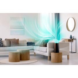Humidificateur D'air De 3l Programmable Jusqu'à 45 M2 Noir Rose Or