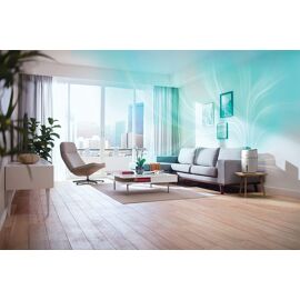 Humidificateur D'air Jusqu'à 40 M2 Noir Gris