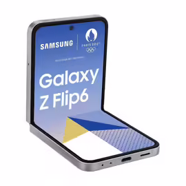 Samsung Galaxy Z Flip6 Gris 512 Go