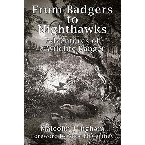From Badgers To Nighthawks