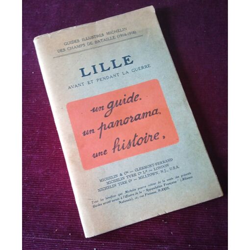 Guide Illustré Michelin Des Champs De Bataille 1914-1918 : Ypres - Édition 1920 - Livre De Poche Historique