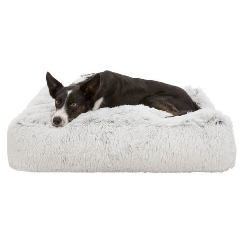 Harvey Oreiller Rectangle 100 X 70cm Blanc-Noir, Coton, Peluche, Pelechy, Chiens, Nouvelles