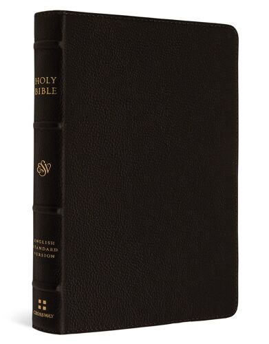 Esv Large Print Compact Bible, Red Letter