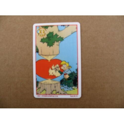 Robin Dubois - 1 Carte Pour Idc International -