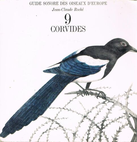 Guide Sonore Des Oiseaux D'europe 9 Corvidés
