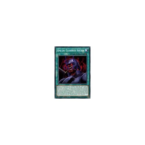 Yugioh! Âme Du Guerrier Ancien (Dlcs-Fr009)