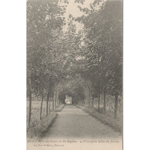 Saint-Aignan - Maison Mère Des Soeurs - Allée Jardin
