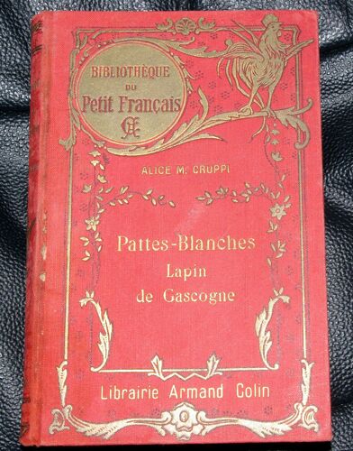 Pattes Blanches, Lapin De Gascogne