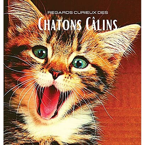 Regards Curieux Des Chatons Câlins: Album Photo En Couleur Avec De Magnifiques Chatons. Idée De Cadeau Pour Les Amoureux Des Petits Félins Et De La Na