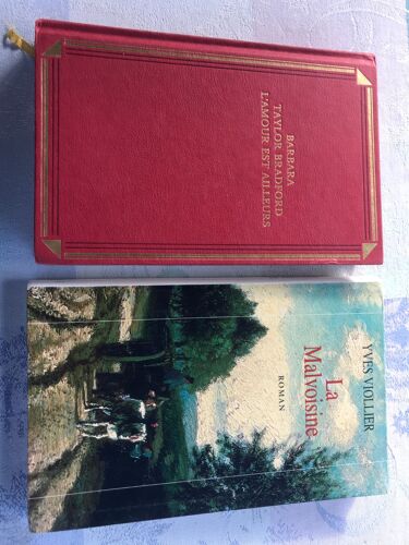 L Amour Est Ailleurs De Barbara Taylor Bradford - La Malvoisine De Yves Viollier : 2 Livres