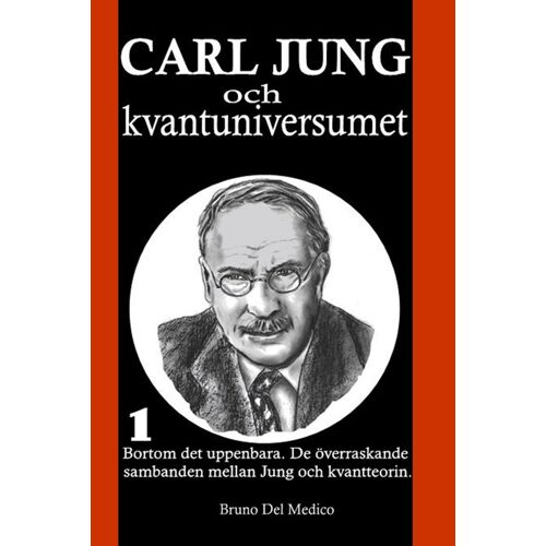 Carl Jung Och Kvantuniversumet: I°. Bortom Det Uppenbara. De Överraskande Sambanden Mellan Jung Och Kvantteorin.