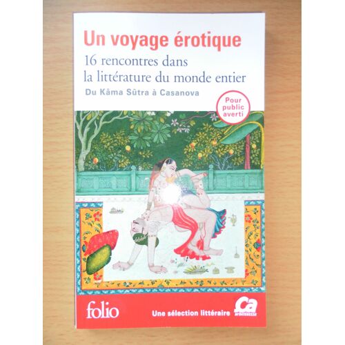 Un Voyage Erotique - 16 Rencontres Dans La Litterature Du Monde Entier