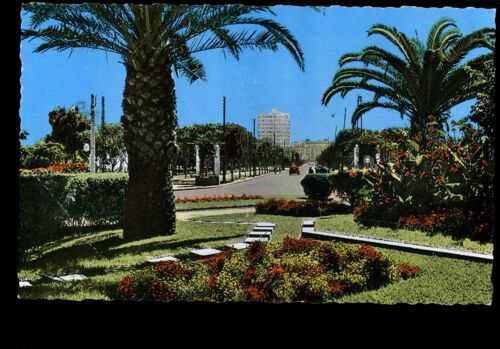 Carte Postale De Casablanca (Maroc) Boulevard Moulay-Youssef