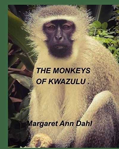 The Monkeys Of Kwazulu
