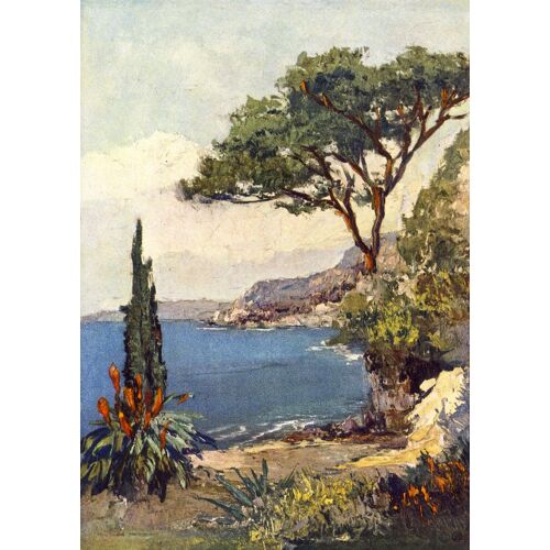 Le Midi Fleuri (Ref 2472)