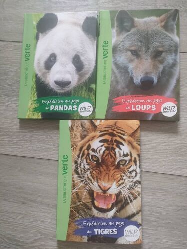 Lot De Trois Livres Bibliothèque Verte "Wilson Immersion"