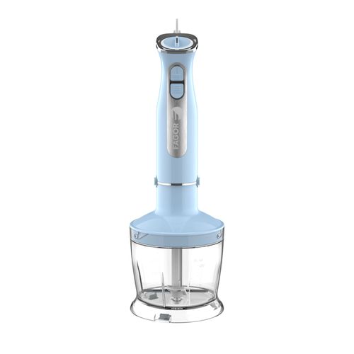 Set Mixeur Plongeant 1000W