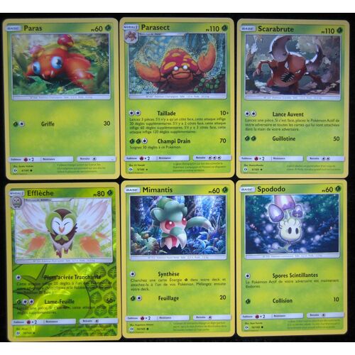 Soleil & Lune - Lot De 6 Cartes Type Plante