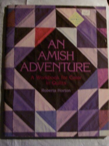 An Amish Adventure, 2nd Edition - Print On Demand Edition