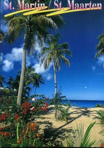 Carte Postale De Saint-Martin (Guadeloupe) 1 Vue