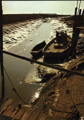 Carte Postale Des Pays De Monts (Vendée) Près De Beauvoir, Un Des Etiers Typiques De La Région (Réf.654)