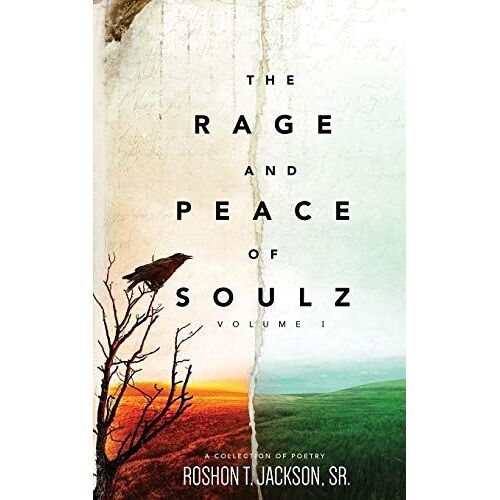 The Rage And Peace Of Soulz