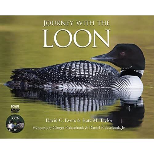 Journey With The Loon
