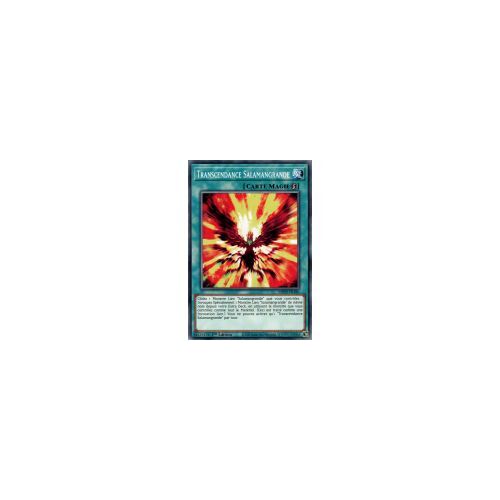 Yu Gi Oh Mp20 Fr180 Transcendance Salamangrande