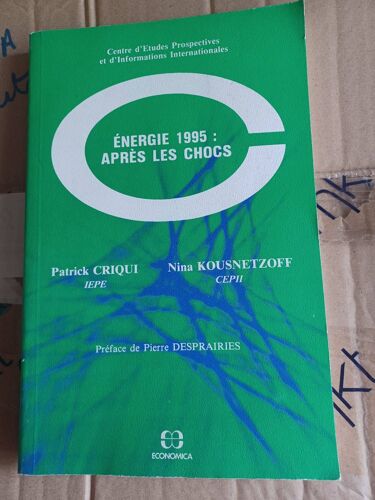 Energie 1995 : Apres Les Chocs