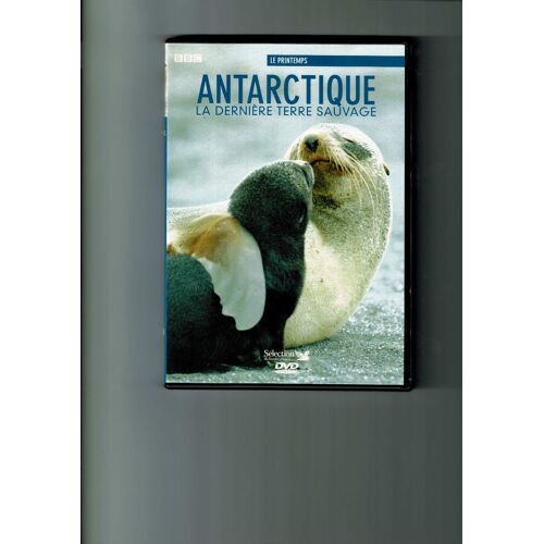 Antartique La Dernière Terre Sauvage - Le Printemps