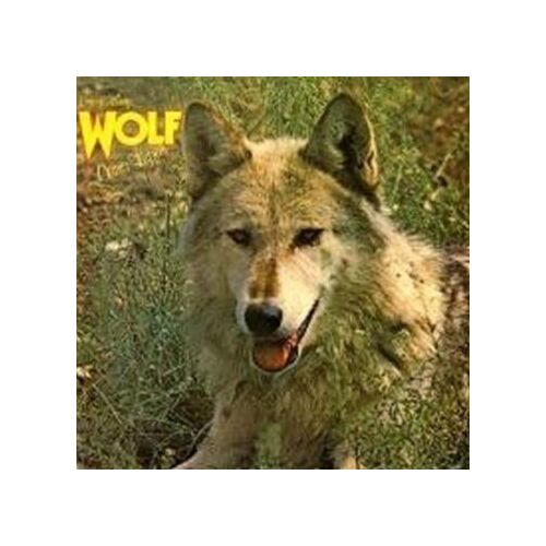 Canis Lupus