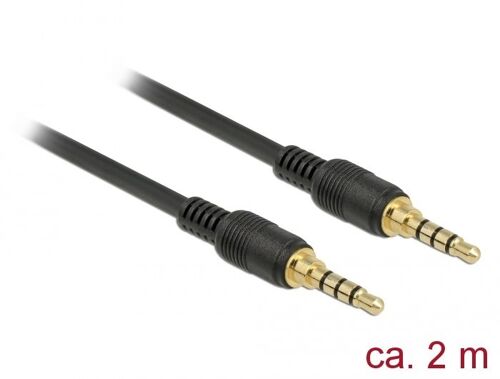 DeLOCK 85598 câble audio 2 m 3,5mm Noir