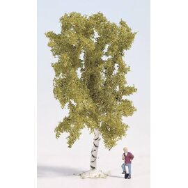 Noch 28520 Pièce Pour Modèle À L'échelle Et Accessoires Arbre-Noch