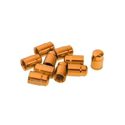 Bouchon De Valve De Vélo, 10 Pièces, Couvercle Anti-Poussière, Route Yd9858