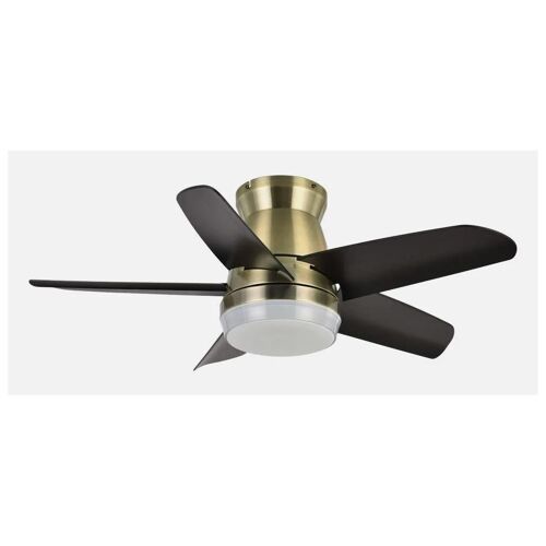 Fabrilamp 207991536 ventilateur Noir, Or
