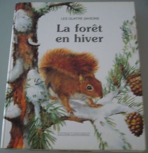 La Forêt En Hiver