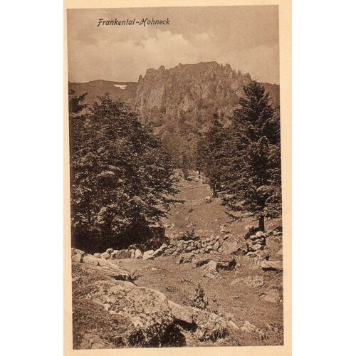 Carte Postale Ancienne - Frankental - Hohneck