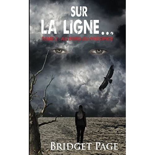 Sur La Ligne...: Tome 2 : Au Bord Du Precipice: Volume 2