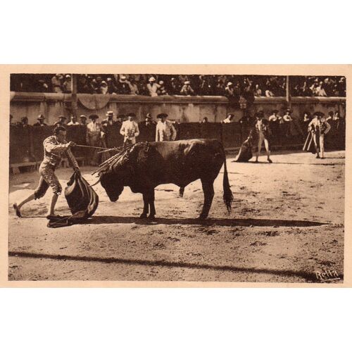 30 Arènes De Nîmes - Années 40 - Course De Taureaux - La Mise À Mort