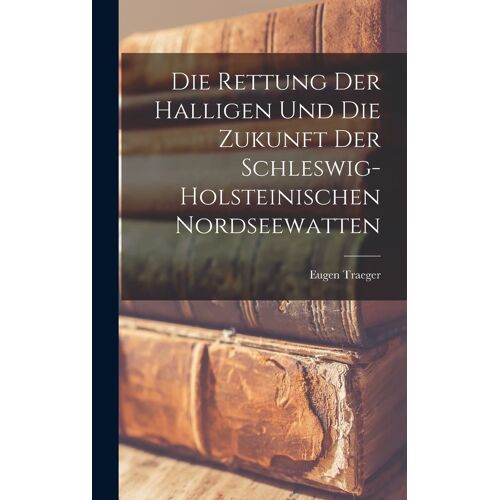 Die Rettung Der Halligen Und Die Zukunft Der Schleswig-Holsteinischen Nordseewatten