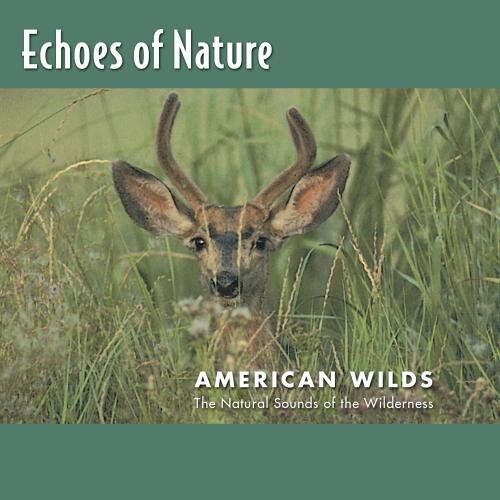 American Wilds: Echoes Of Nature 6
