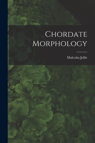 Chordate Morphology