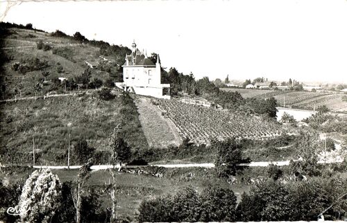 Carte Postale Ancienne, France, Ain ( 01 ), Meillonnas, Château Rocastel