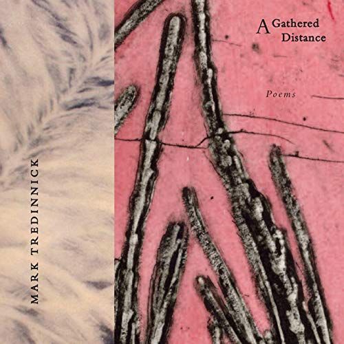 A Gathered Distance