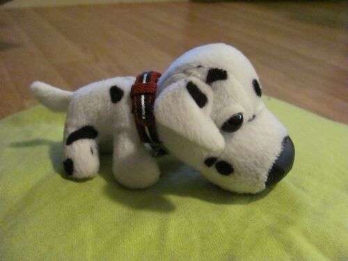 The Dogs Collection