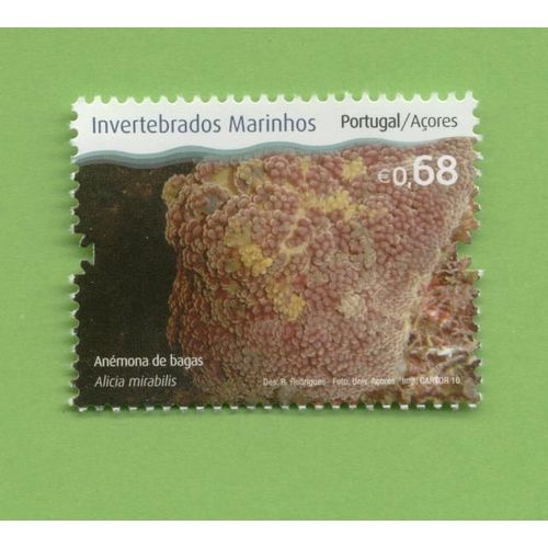 Timbre Neuf New Stamp Selo With Fresh Gum Invertebrados Marinhos Açores Anémona Bagas 0.68 Alicia Mirabilis Portugal