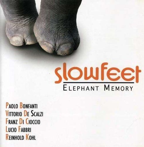 Elephant Memory