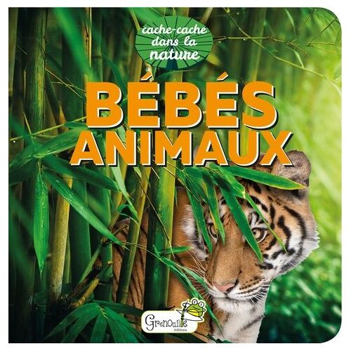 Bébés Animaux