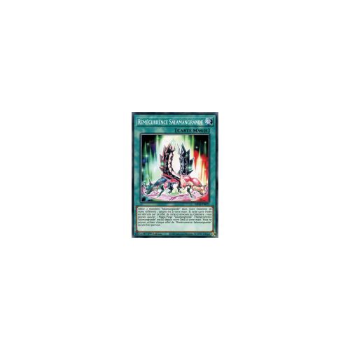 Yugioh! Remècurrence Salamangrande Mp20-Fr073